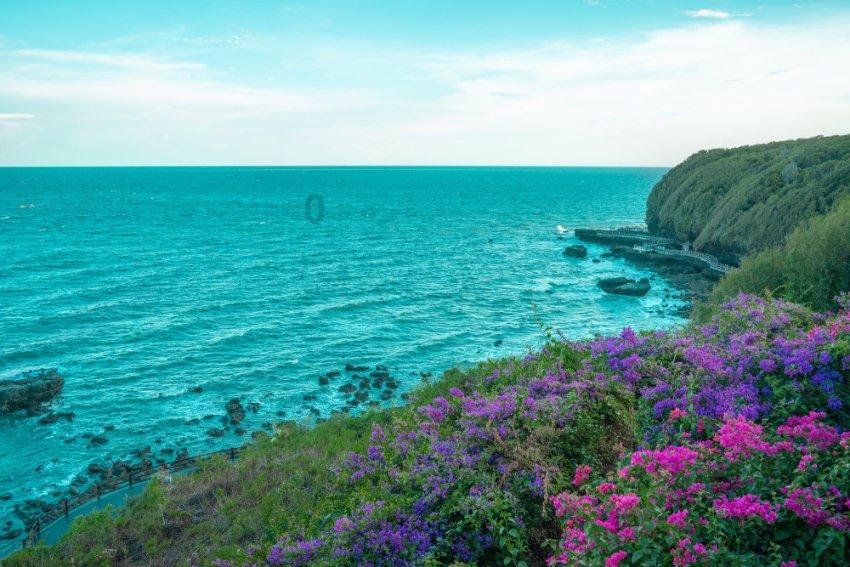 魔法季节沉睡大地